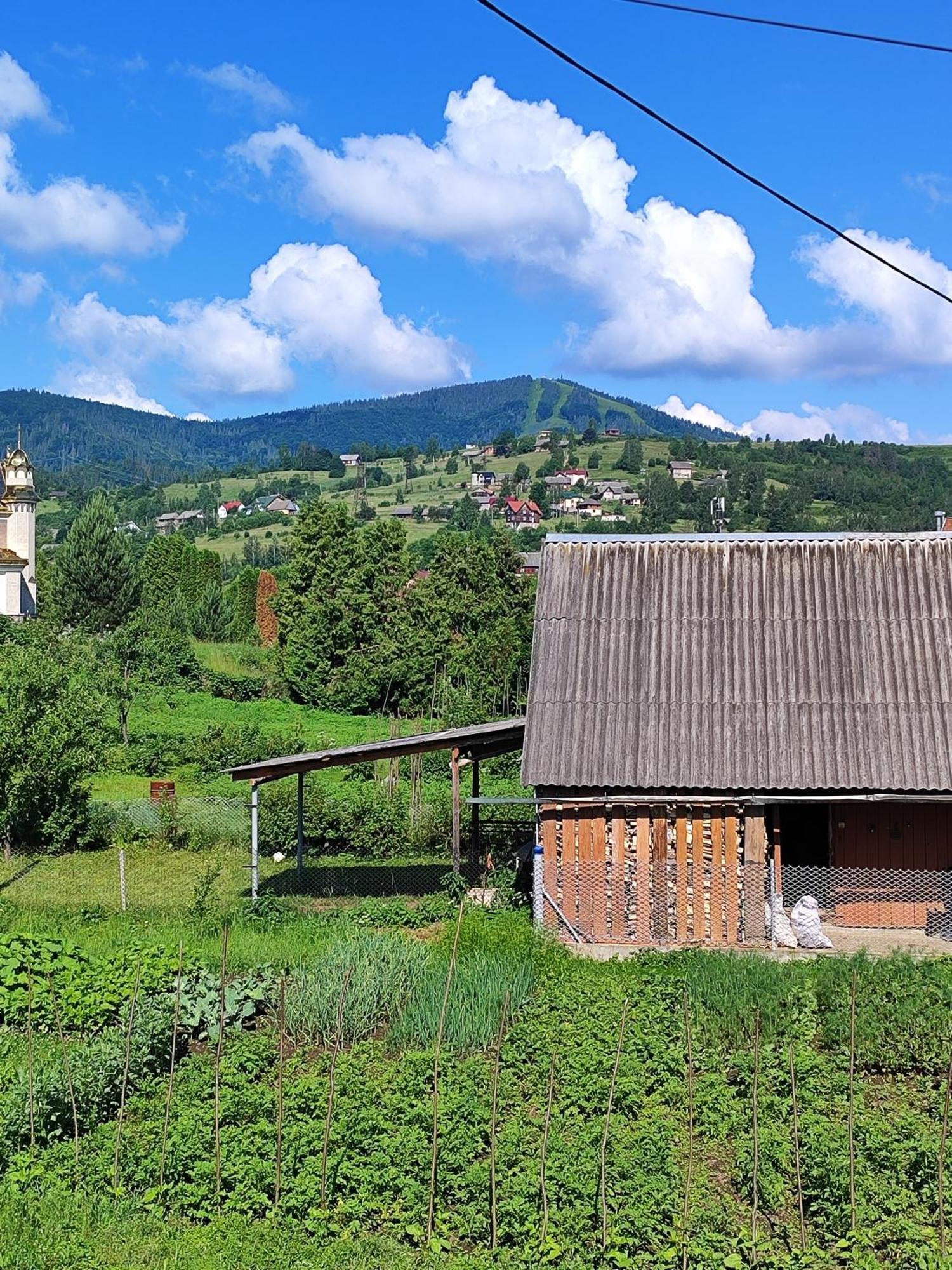 Карпатський Куточок Daire Slavske Dış mekan fotoğraf